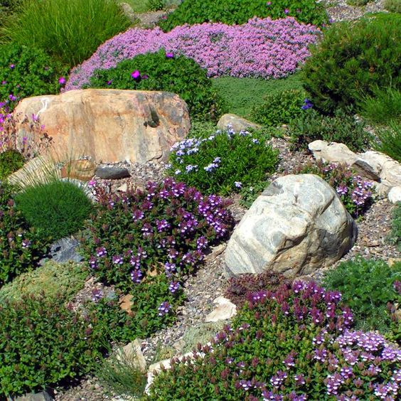 Обучающие публикации от Разумный сад