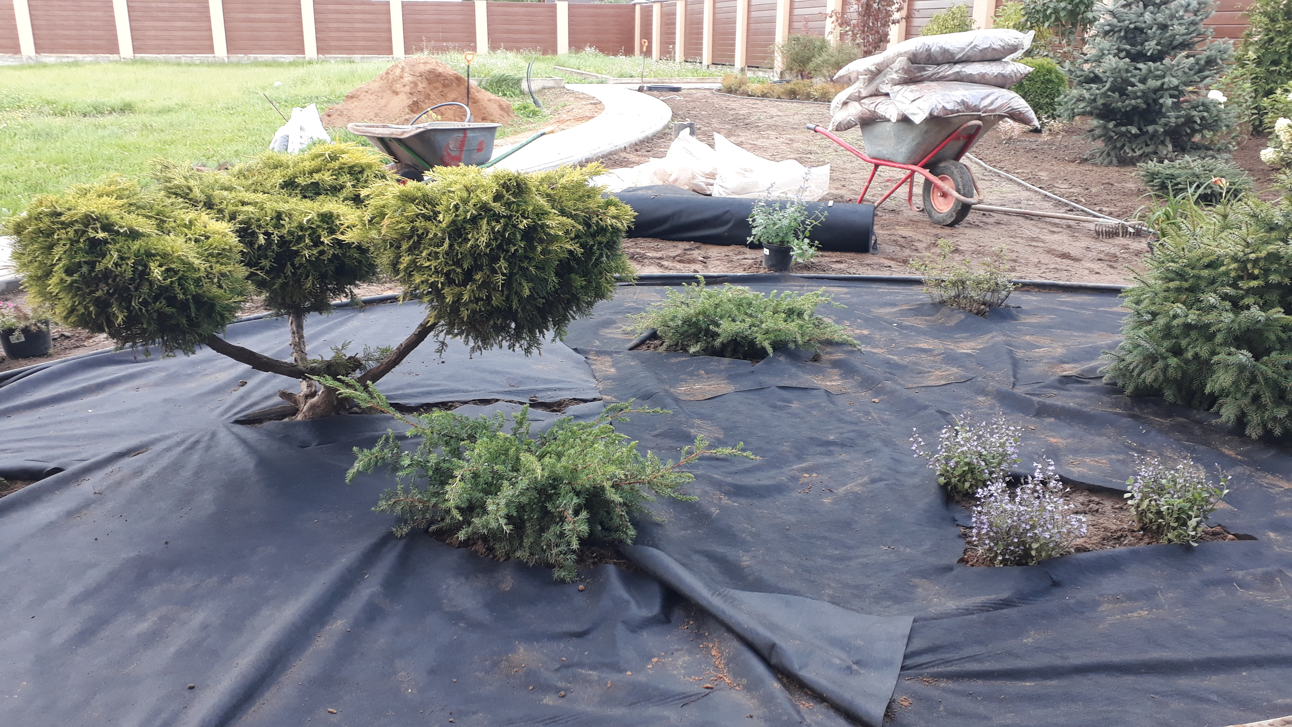 Обучающие публикации от Разумный сад